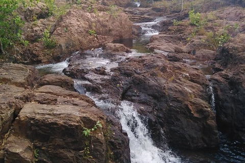 Full-Day Private Guided Tour To Litchfield National Park - Tourism Hervey Bay 15