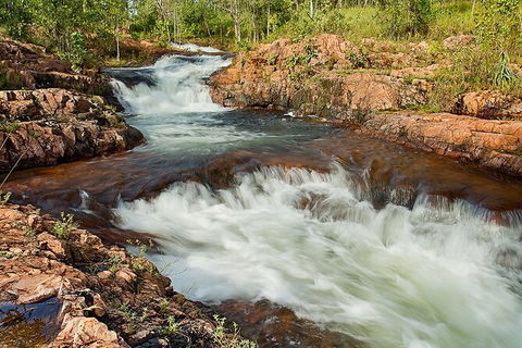 Full-Day Private Guided Tour To Litchfield National Park - Tourism Hervey Bay 3