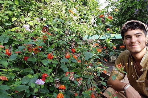 Full-Day Private Guided Tour To Litchfield National Park - Tourism Hervey Bay 17