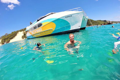 All Inclusive Dolphin And Tangalooma Wrecks Cruise - Hervey Bay Accommodation 0