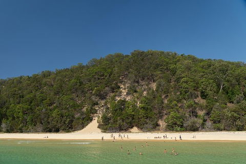 All Inclusive Dolphin And Tangalooma Wrecks Cruise - Hervey Bay Accommodation 4