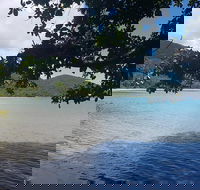 Full Day Tour in the Daintree