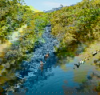 Cruise 'n' Canoe to Australia's Everglades - Hervey Bay Accommodation