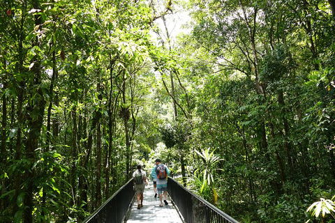 Aboriginal Cultural Daintree Rainforest Tour From Cairns Or Port Douglas - Hervey Bay Accommodation 4