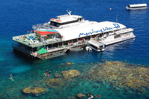 Cairns 2-Day Combo: Great Barrier Reef Cruise And Kuranda - Hervey Bay Accommodation 5