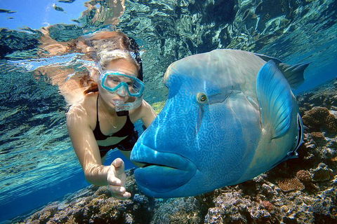 Cairns 2-Day Combo: Great Barrier Reef Cruise And Kuranda - Hervey Bay Accommodation 0