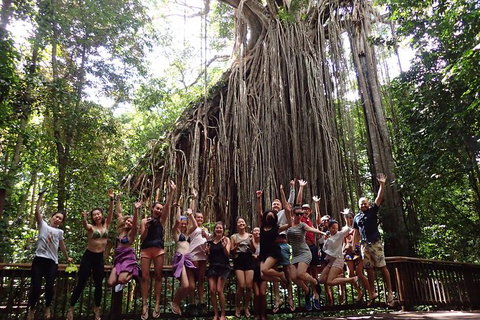 Atherton Tablelands Waterfalls Tour From Cairns - Hervey Bay Accommodation 8