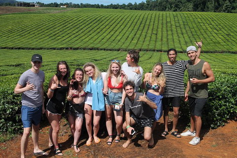 Atherton Tablelands Waterfalls Tour From Cairns - Hervey Bay Accommodation 6