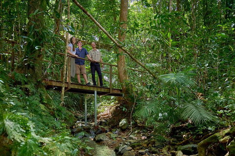 Daintree And Cape Tribulation Tour From Cairns - Hervey Bay Accommodation 3