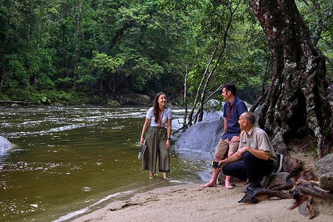 Daintree And Cape Tribulation Tour From Cairns - Hervey Bay Accommodation 2