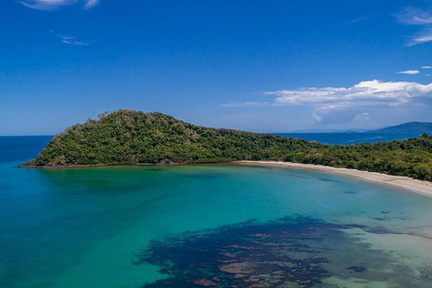Daintree And Cape Tribulation Tour From Cairns - Hervey Bay Accommodation 7