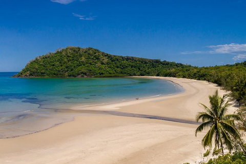 Daintree And Cape Tribulation Tour From Cairns - Hervey Bay Accommodation 8
