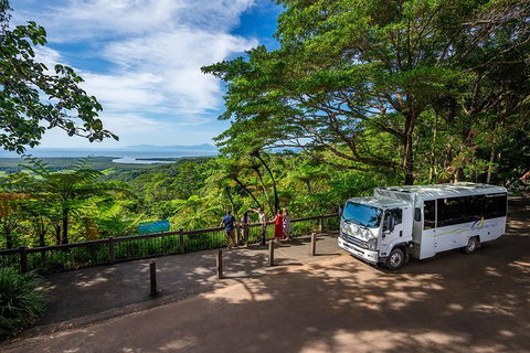 Daintree And Cape Tribulation Tour From Cairns - Hervey Bay Accommodation 5