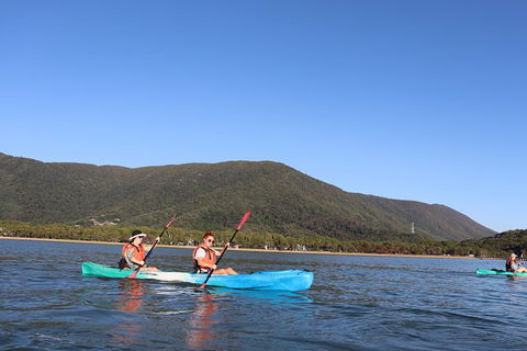 Kayak Turtle Tour From Palm Cove - Tourism Hervey Bay 24