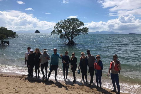 Kayak Turtle Tour From Palm Cove - Tourism Hervey Bay 17