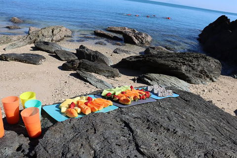 Kayak Turtle Tour From Palm Cove - Tourism Hervey Bay 36