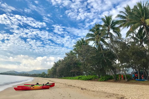 Kayak Turtle Tour From Palm Cove - Tourism Hervey Bay 2