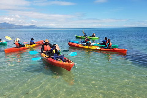 Kayak Turtle Tour From Palm Cove - Tourism Hervey Bay 25