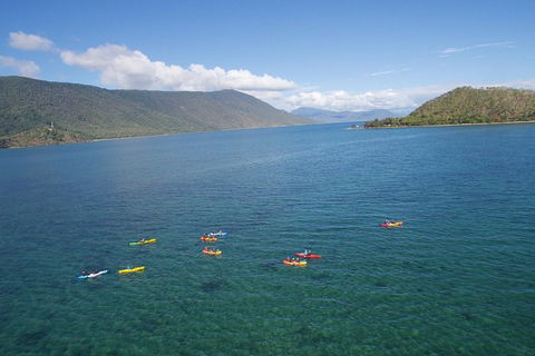 Kayak Turtle Tour From Palm Cove - Tourism Hervey Bay 44