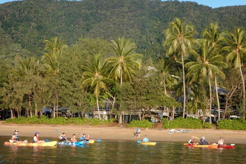 Kayak Turtle Tour From Palm Cove - Tourism Hervey Bay 16