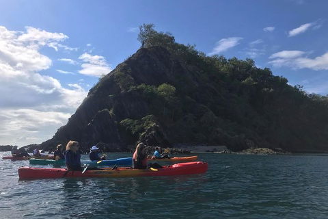 Kayak Turtle Tour From Palm Cove - Tourism Hervey Bay 3