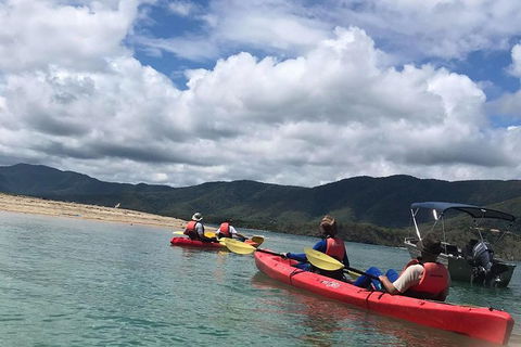 Kayak Turtle Tour From Palm Cove - Tourism Hervey Bay 29