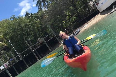 Kayak Turtle Tour From Palm Cove - Tourism Hervey Bay 31