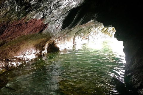 Kayak Turtle Tour From Palm Cove - Tourism Hervey Bay 6