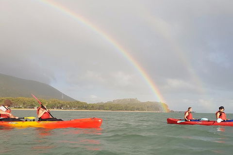 Kayak Turtle Tour From Palm Cove - Tourism Hervey Bay 26