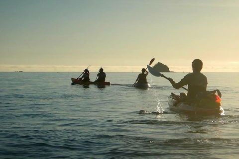 Kayak Turtle Tour From Palm Cove - Tourism Hervey Bay 8
