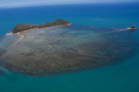 Kayak Turtle Tour From Palm Cove - Tourism Hervey Bay 20