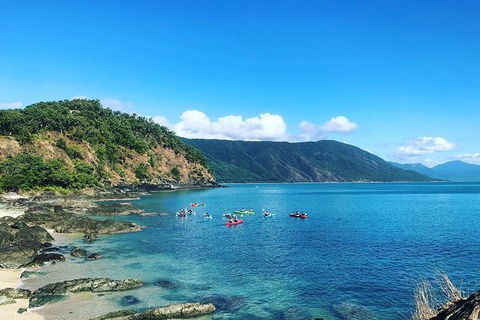 Kayak Turtle Tour From Palm Cove - Tourism Hervey Bay 39