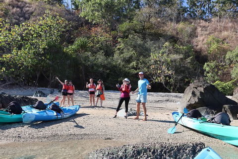 Kayak Turtle Tour From Palm Cove - Tourism Hervey Bay 46