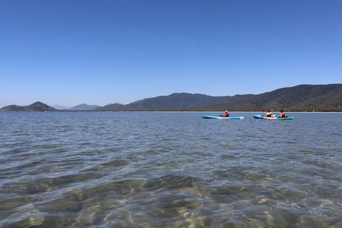 Kayak Turtle Tour From Palm Cove - Tourism Hervey Bay 43