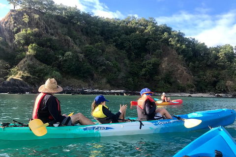 Kayak Turtle Tour From Palm Cove - Tourism Hervey Bay 13