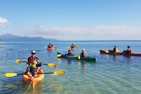 Kayak Turtle Tour From Palm Cove - Tourism Hervey Bay 37