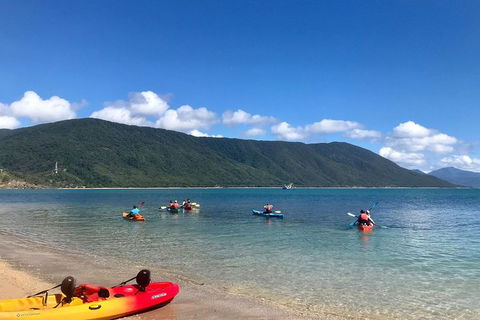 Kayak Turtle Tour From Palm Cove - Tourism Hervey Bay 1