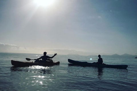 Kayak Turtle Tour From Palm Cove - Tourism Hervey Bay 7