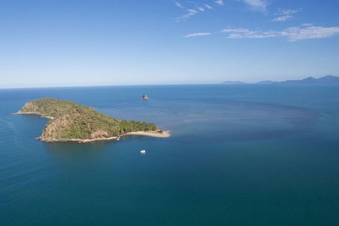 Kayak Turtle Tour From Palm Cove - Tourism Hervey Bay 47