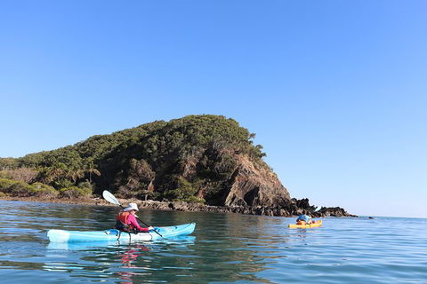 Kayak Turtle Tour From Palm Cove - Tourism Hervey Bay 30