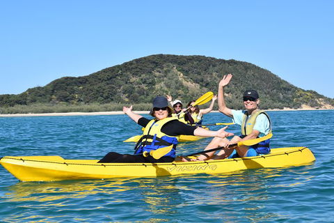 Kayak With Dolphins And 4WD Great Beach Drive Day Trip From Noosa - Hervey Bay Accommodation 6