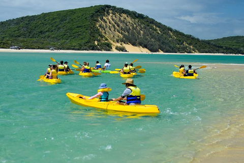 Kayak With Dolphins And 4WD Great Beach Drive Day Trip From Noosa - Hervey Bay Accommodation 8