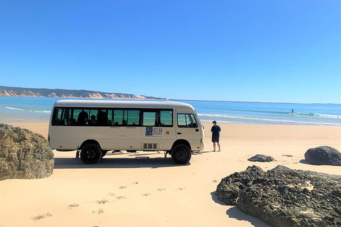 Kayak With Dolphins And 4WD Great Beach Drive Day Trip From Noosa - Hervey Bay Accommodation 17