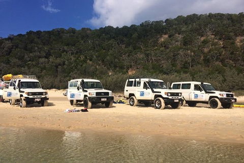 Kayak With Dolphins And 4WD Great Beach Drive Day Trip From Noosa - Hervey Bay Accommodation 9