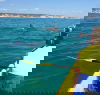 Kayak with Dolphins and 4WD Great Beach Drive Day Trip from Noosa - Hervey Bay Accommodation