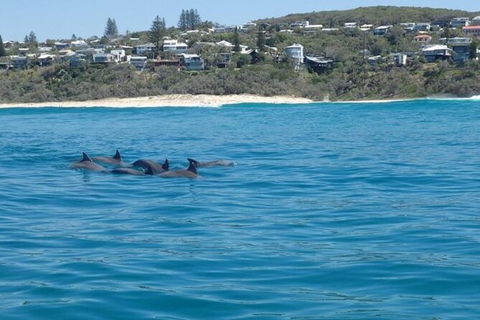 Noosa Thriller - 500hp Ocean Adventure Ride - Hervey Bay Accommodation 5