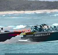 Noosa Thriller - 500hp Ocean Adventure Ride - Hervey Bay Accommodation
