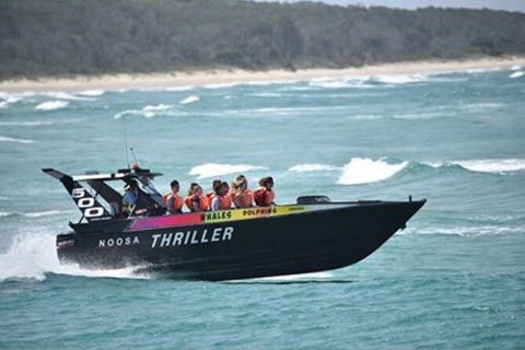 Noosa Thriller - 500hp Ocean Adventure Ride - Hervey Bay Accommodation 0
