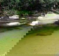 Afternoon Half-Day Daintree Rainforest and River Tour