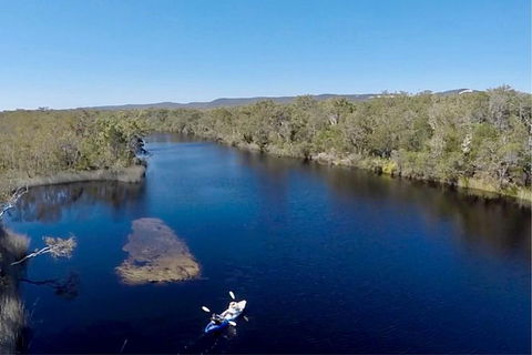 Surf & Kayak = Perfect Half Day Tour - Hervey Bay Accommodation 13